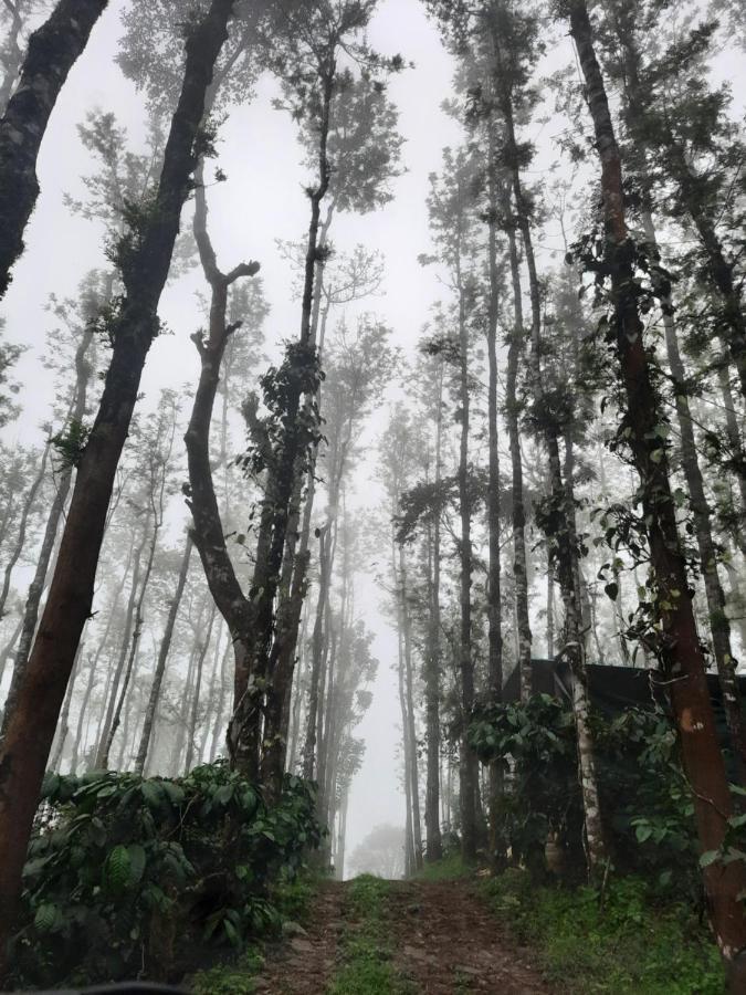 Coorg Happy Estate Stay Madikeri Ngoại thất bức ảnh