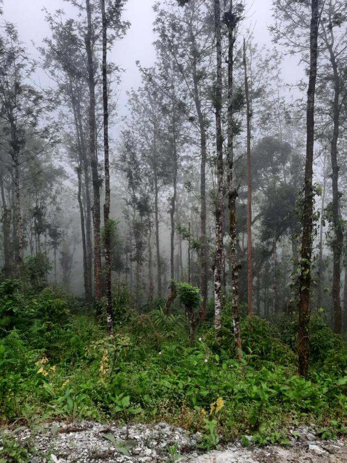 Coorg Happy Estate Stay Madikeri Ngoại thất bức ảnh